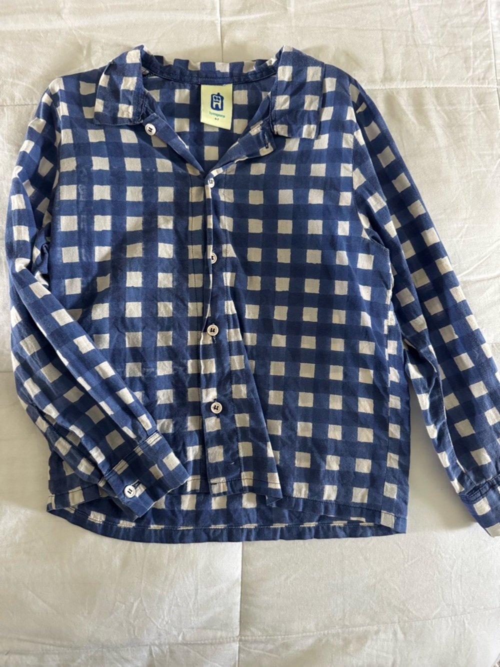 Byeupnea Kids Blue Checked Button-Down Shirt
